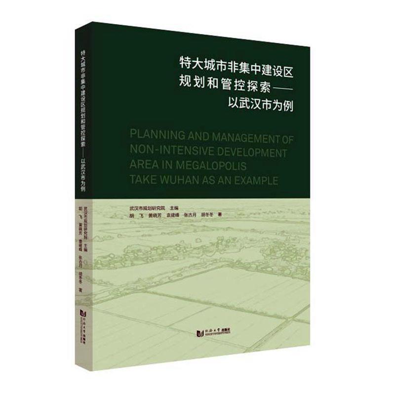 RT69包邮 特大城市非集中建设区规划和管控探索--以武汉市为例同济大学出版社经济图书书籍