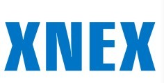 XNEX英文字母商标转让25类个人注册商标出售