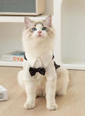 猫咪服饰绅士领结西装狗狗英伦风衬衫成猫幼猫两脚燕尾服宠物衣服