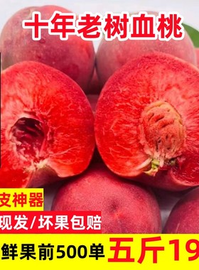 桐柏朱砂红桃水蜜桃水果大全毛桃土豪稀罕的水果血桃5月当季水果