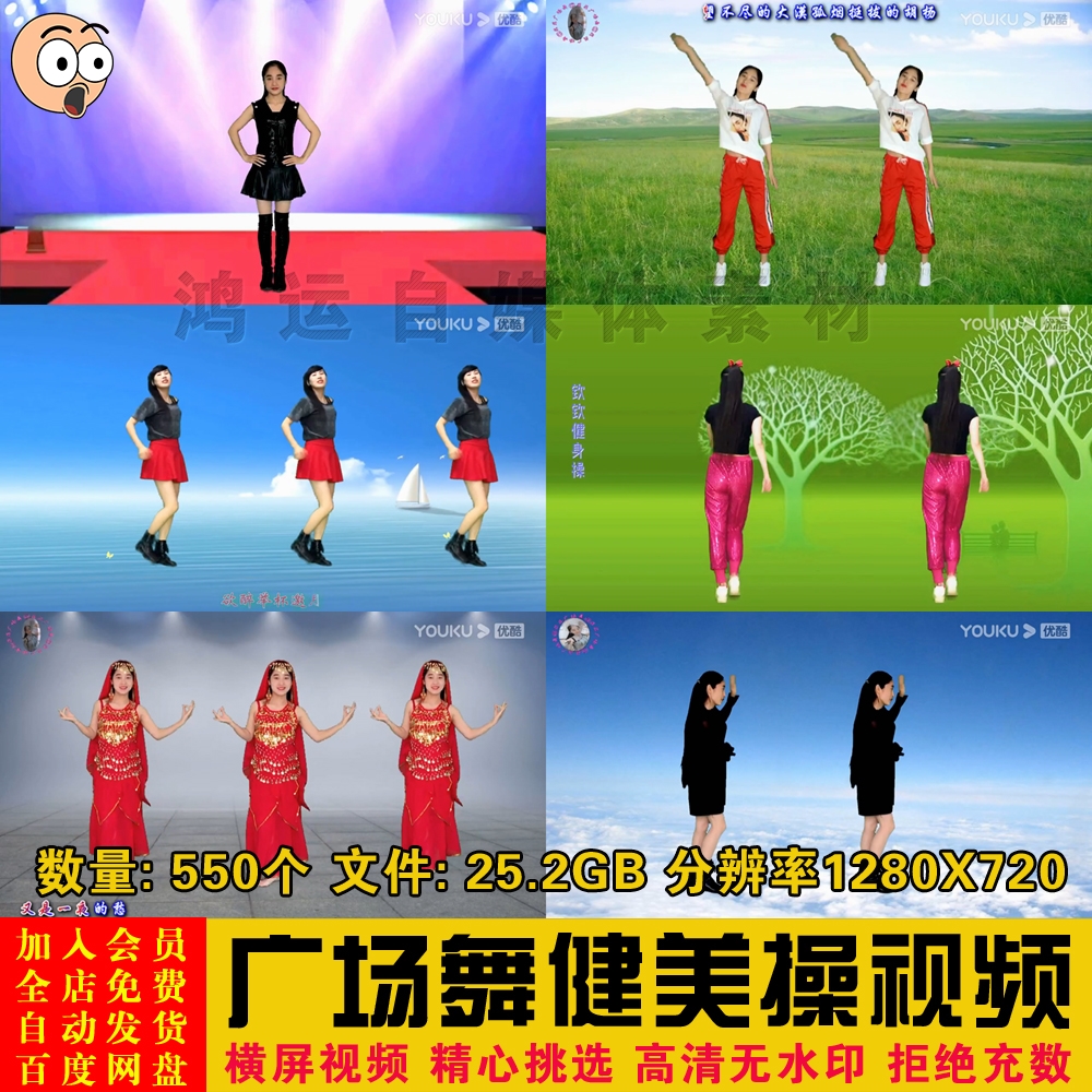 中国中老年大妈广场舞动感健身健美操教学零基础视频网盘MP4素材