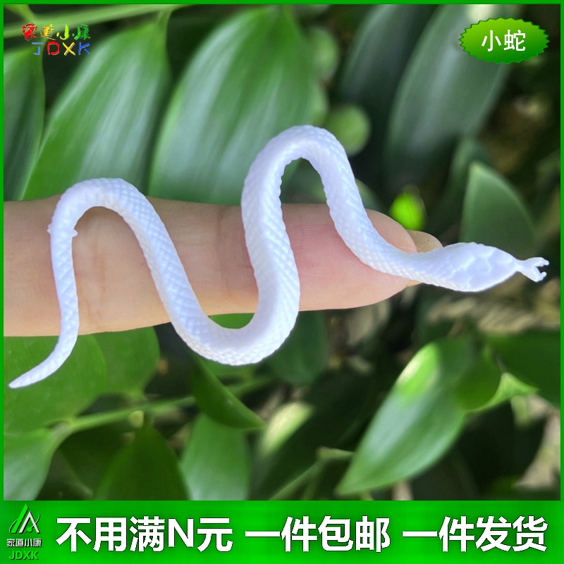 仿真蛇迷你小白蛇可爱的幼小昆虫蛇幼儿园儿童玩具白色蛇动物模型