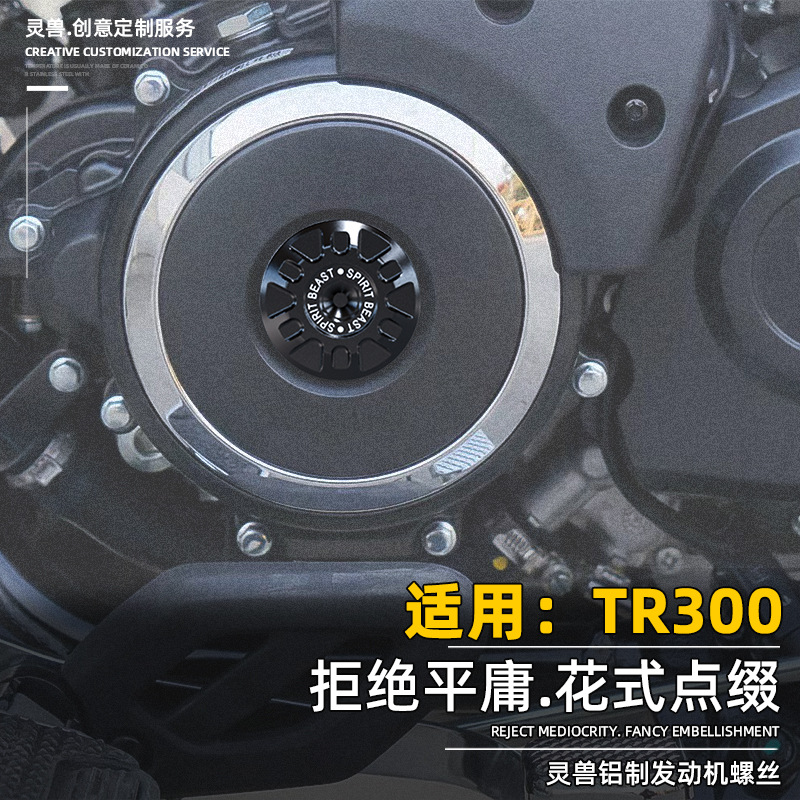 灵兽适用豪爵TR300发动机螺丝改装摩托车磁电机发电左边装饰螺盖