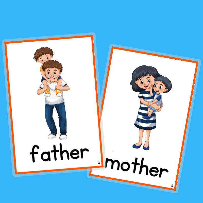 日常家庭成员关系称谓英语单词卡片称呼幼儿童早教英文教师教具