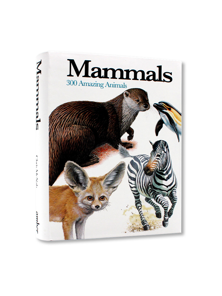 现货包邮 迷你百科系列 Mammals: 300 Amazing Animals 哺乳动物:300种神奇的动物 哺乳动物类型的多样性 英文原版