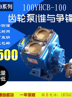 YHCB100大型运油车圆弧齿轮油泵类型泵电泵油抽神器空调泵真空