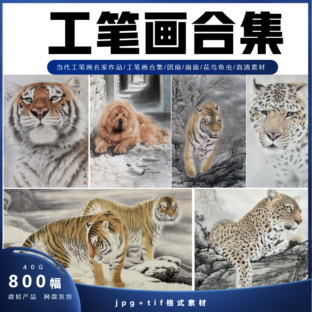 中国现代工笔画花鸟鱼虫山水人物狮虎鹰猫狗临摹高清JPG图片素材