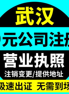 武汉市汉阳区公司注册营业执照办理地址挂靠免费核名变更注销变更
