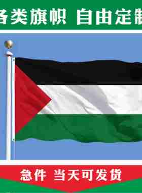 巴勒斯坦国旗各国国旗12345号欧洲杯外国国旗美国大号世界旗帜定做法国国旗定制泰国俄罗斯德国 荷兰国旗