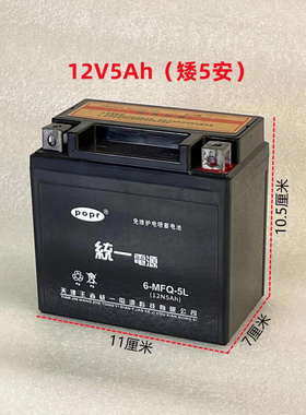 12V5A摩托车电瓶干蓄电池YT5L-BS 100 WH100小公主电池