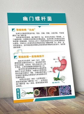 幽门螺杆菌胃肠病理示意图医学解剖挂图人体器官心脏结构图海报