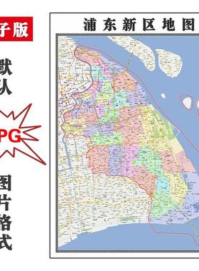 浦东新区地图街道可定制上海市电子版JPG素材高清色彩图片交通