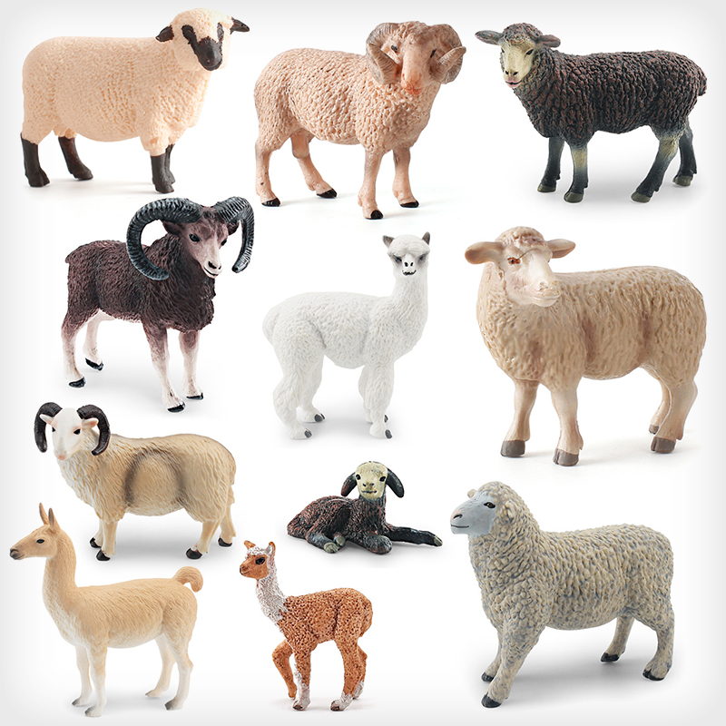 仿真实心绵羊模型白黑山羊儿童认知玩具羊驼长角羚羊摆件羊羔盘羊