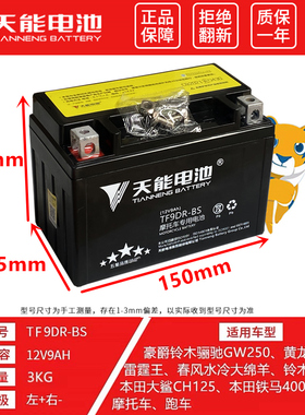 天能摩托车电瓶YTX9-BS黄龙600/300光阳250贝纳利GW25012V电池