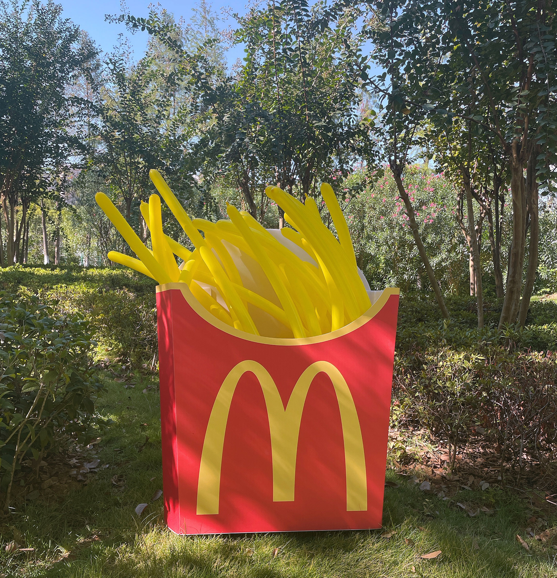 麦当劳盒子图片