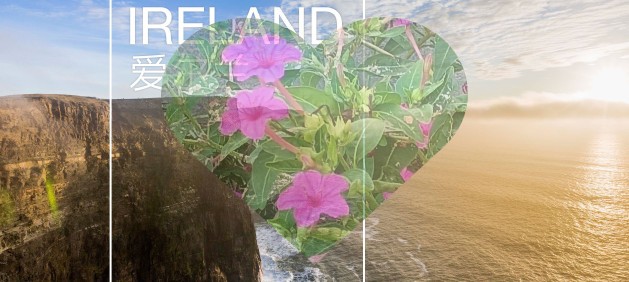 2024爱尔兰都柏林全部旅游攻略（电子版）自由行景点美食旅行指南