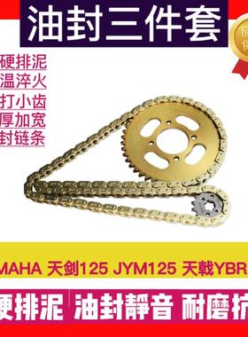 适用雅马哈天剑125 JYM125天戟YBR125摩托车油封链条齿轮牙盘套链