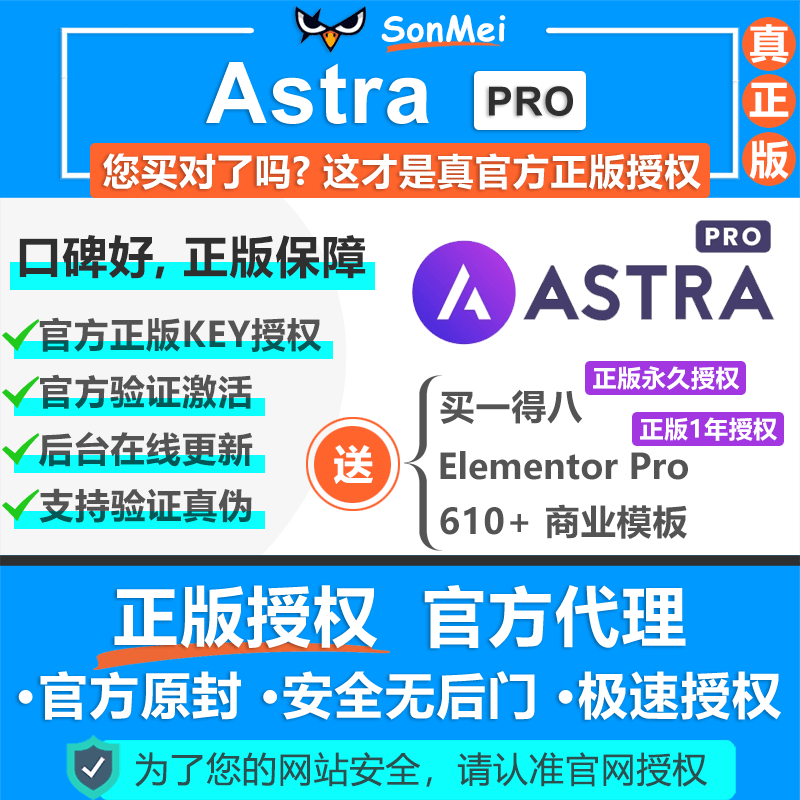 Astra Pro主题官方正版Key授权激活外贸独立网站WP搭配Elementor