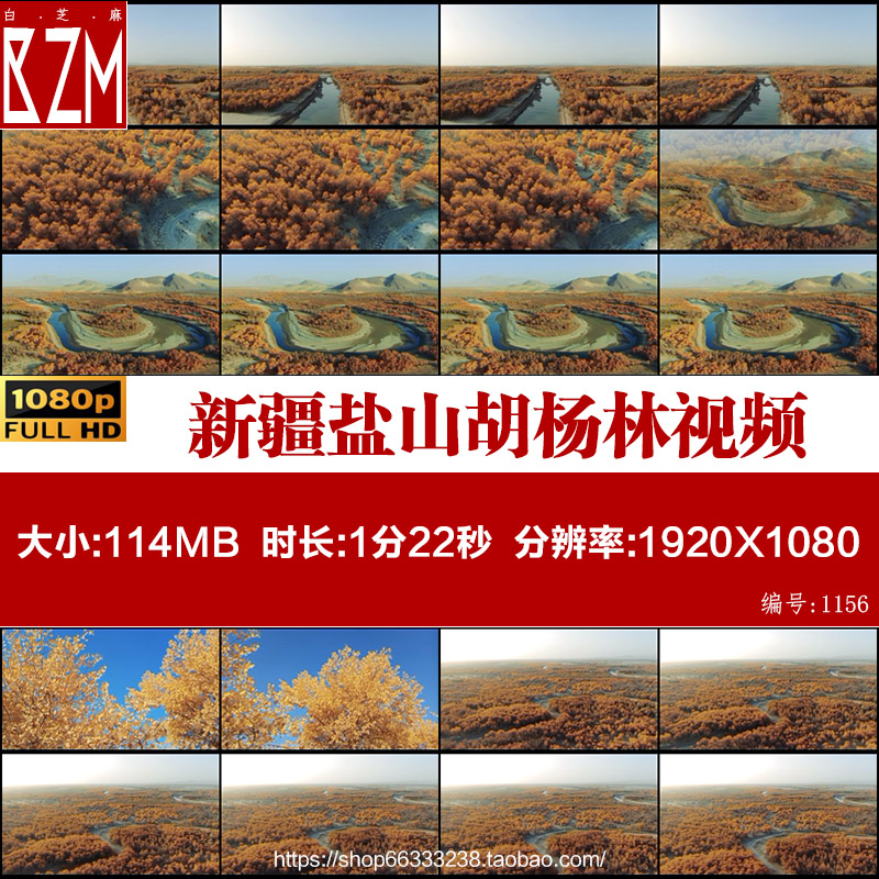 新疆盐山金黄色胡杨林秋季自然风景摄影景观旅游高清美景视频素材