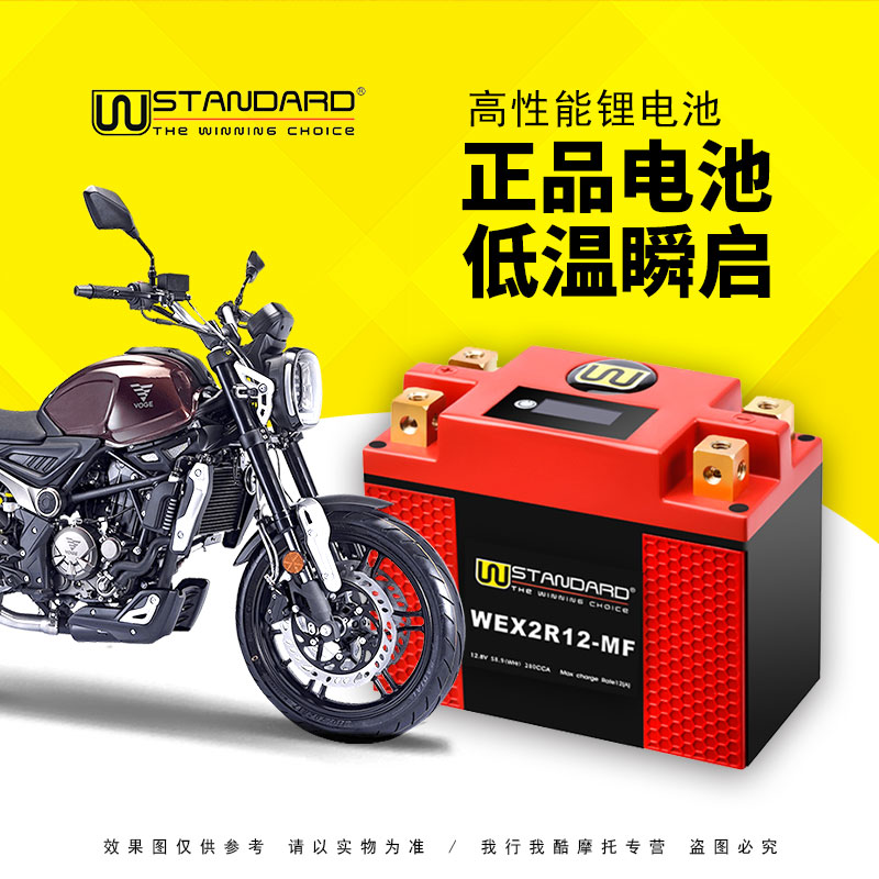 摩托车隆鑫LX300 无极300AC 200AC 复古摩托车电瓶12V美国W锂电池