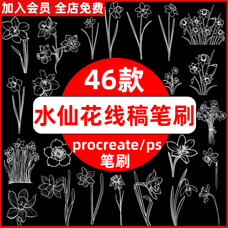 procreate笔刷ps笔刷水仙花线稿花卉鲜花植物花朵手绘辅助临摹花