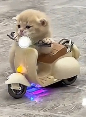 迷你电动车玩具旋转特技车小摩托车猫咪宠物小猫仓鼠猪猪侠骑摩托
