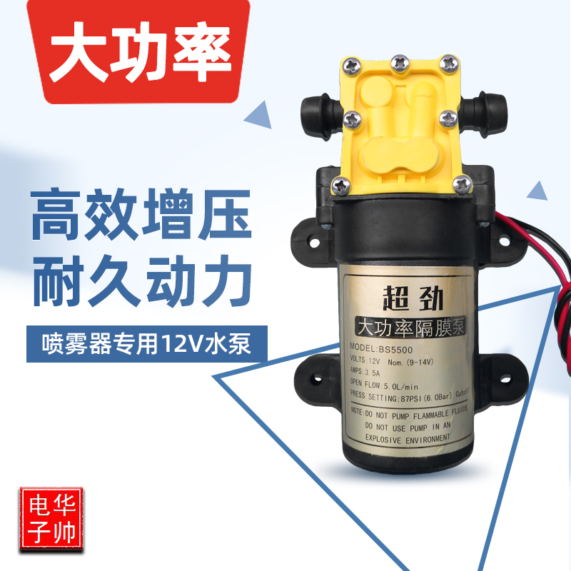 12v电机高压打药泵自吸泵隔膜泵小型抽水机电动喷雾器水泵通用