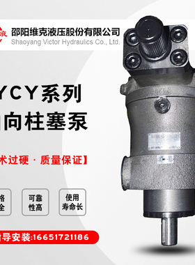 邵阳维克液压CY系列轴向柱塞泵YCY14-1B高压高压油泵 邵液正品SY