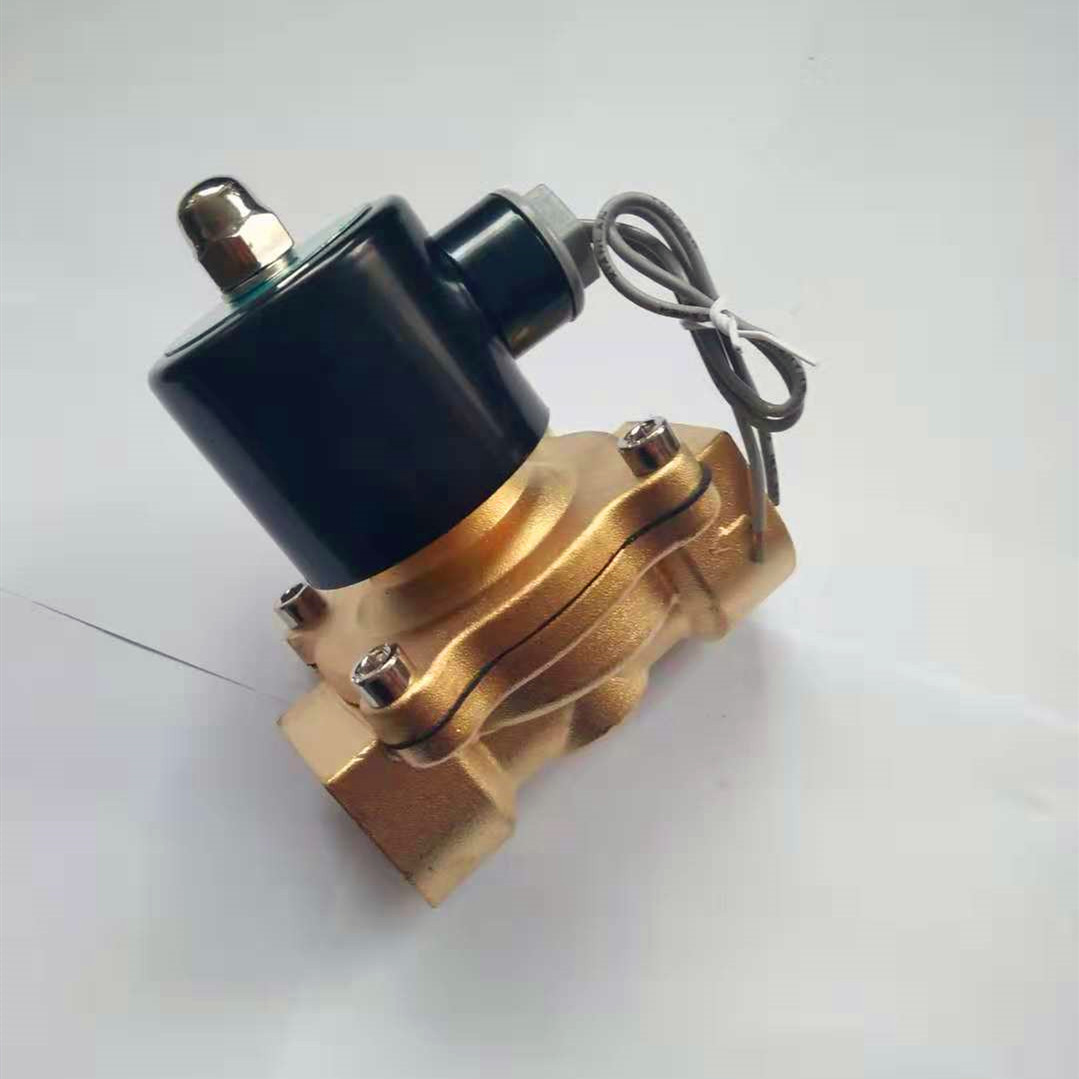 新品节流阀阀水阀二通式黄铜螺纹现货单向2W-025-06电磁