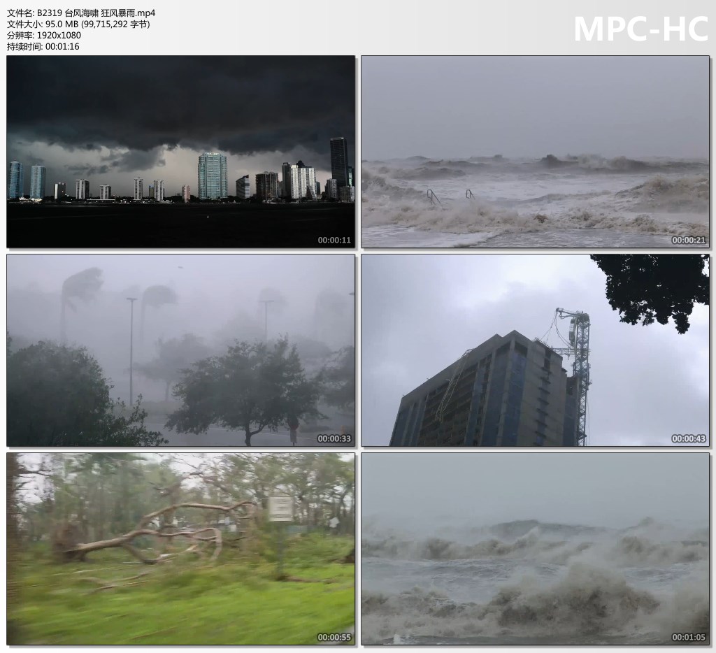 台风海啸狂风暴雨乌云密布城市洪涝水灾温室自然灾害预警视频素材