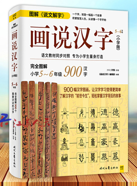 画说汉字 小学版 5～6年级 1000幅汉字图画 了解汉字的前世今生 轻松掌握汉字背后的故事 让汉字学习变得更简单