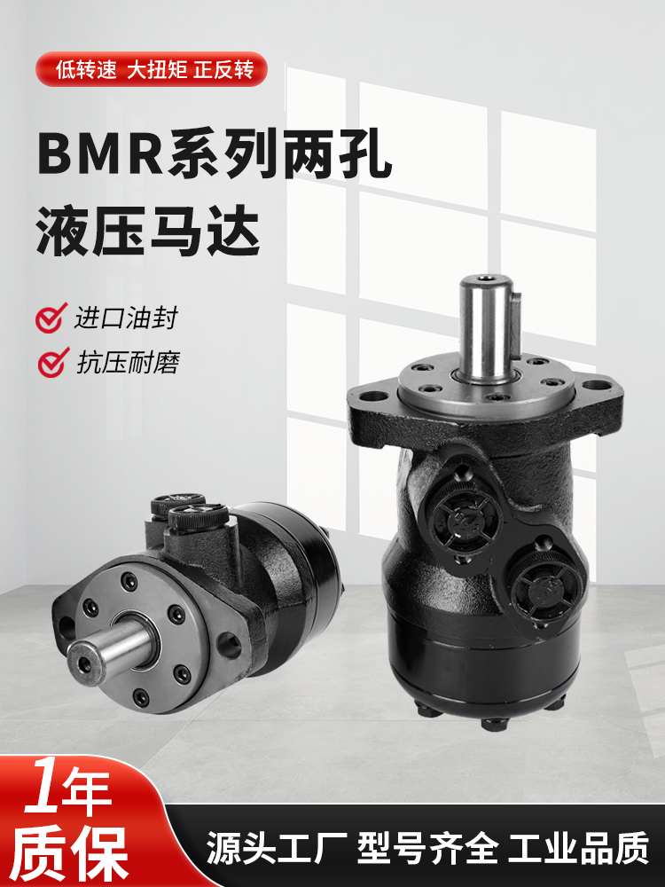 BMR-2AD镇江大力液压马达摆线溶胶马达旋转低速大扭矩BM1立式机