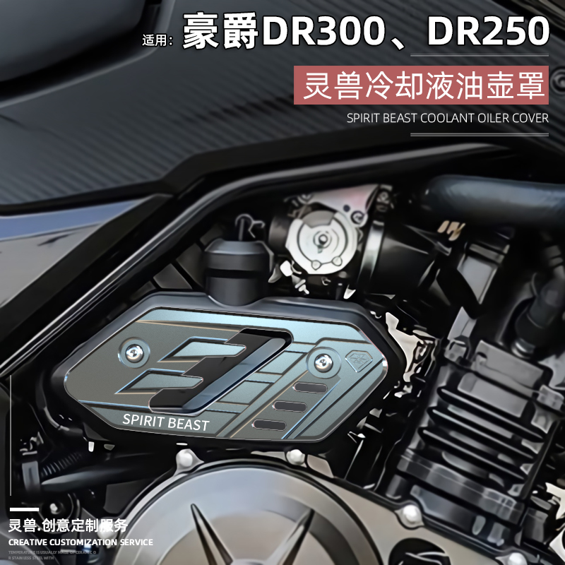 DR300冷却液水壶盖改装灵兽适用豪爵摩托车DR250副水箱外盖保护壳
