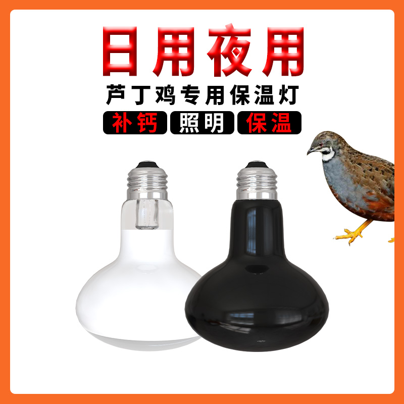 芦丁鸡恒温灯自动智能温控器保温灯取暖灯饲养箱灯加温加热育雏灯