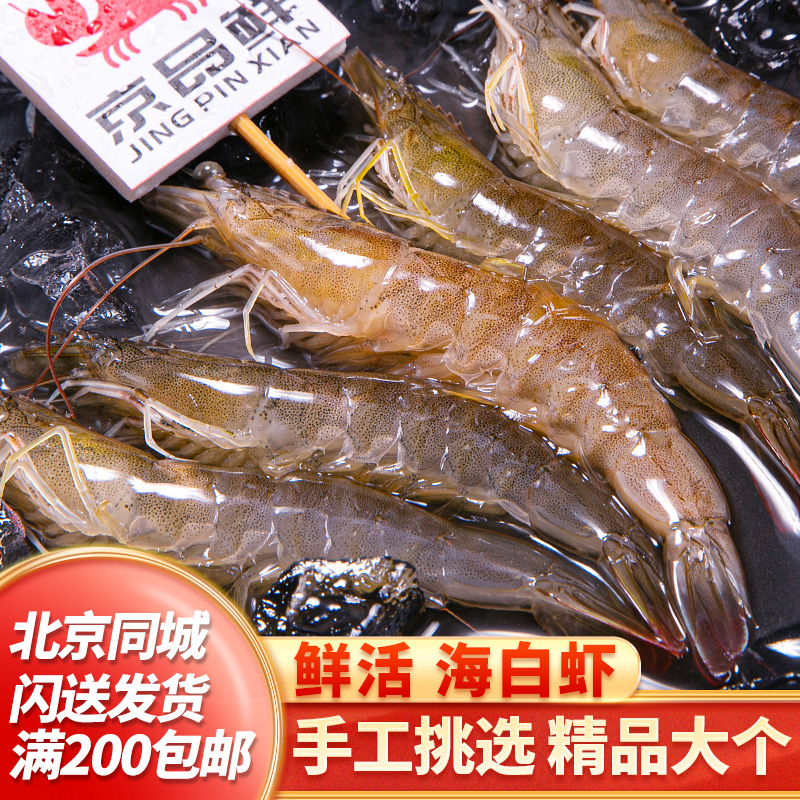 鲜活海白虾 大个新鲜 海鲜 水产明虾 大虾 北京京深海鲜市场 闪送