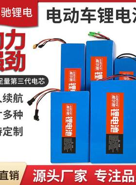 电动滑板车36V锂电池48V电瓶24伏适用于希洛普代驾折叠自行车单车