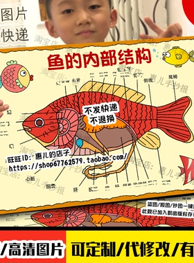 科学手抄报鱼的内部结构小报关于鱼的介绍绘画儿童画动物思维导图