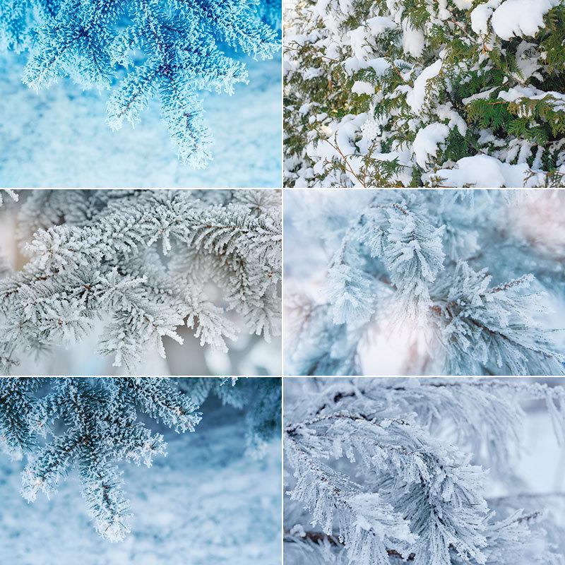 雪景大雪冬天立冬新年冰雪世界雪花背景特写照片摄影高清图片素材