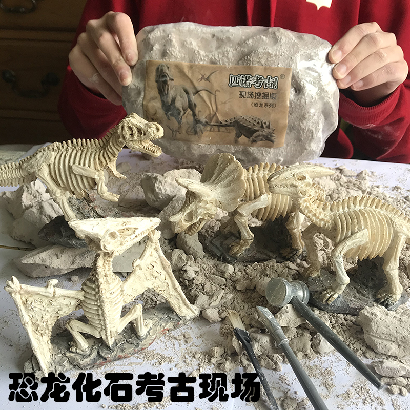 恐龙化石考古挖掘玩具大号霸王龙剑龙翼龙模型摆件儿童手工diy3-6