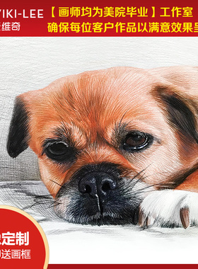 宠物画像定制狗狗肖像画头像照片纪念手绘素描画像彩铅代画原创