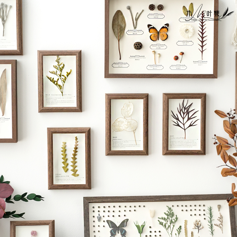 植物标本相框墙面装饰立体摆台进口干花自然植物创意设计