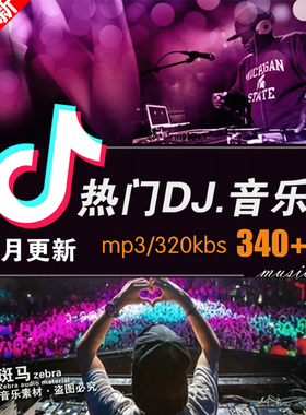 抖音快手热门流行DJ歌曲音频音乐Mp3文件歌单下载车载统一音量
