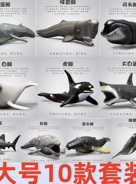 大号仿真海洋动物玩具生物鲨鱼海豚3儿童4鲸鱼男孩海底世界鱼模型