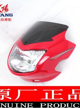 大阳摩托车原厂配件DY125-5DDY150-21H悦虎导流罩头罩大灯罩头面