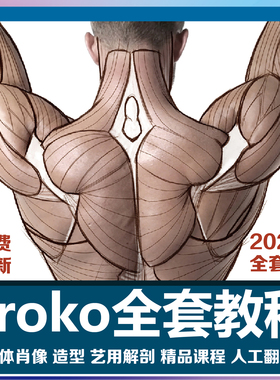 PROKO完整美术教程手绘素描人体结构解剖绘画网课课程肥猫彩印