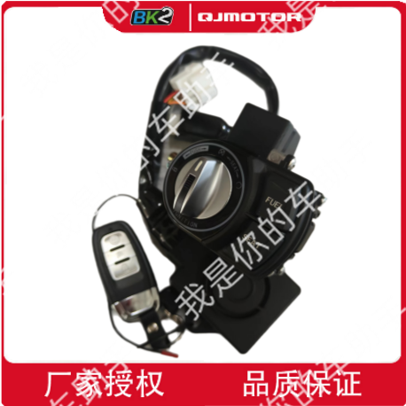 原厂QJMOTOR钱江摩托车配件迪诺150QJ150T-7B套锁遥控锁启动钥匙