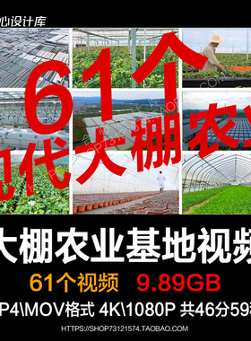 乡村振兴现代农业蔬菜温室大棚培育生态农场种植农业基地视频素材