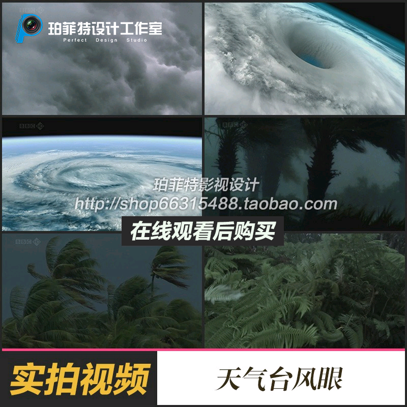 龙卷风与台风眼奇观 暴雨天气变幻台风吹倒树木森林高清视频素材