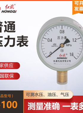 。厂家直销红旗仪表普通压力表Y-100水压表油压表气压表1.6级0-1m