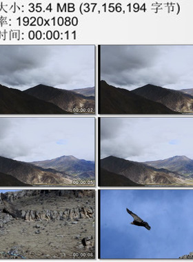 西藏荒凉的群山雄鹰翱翔天空 实拍视频素材